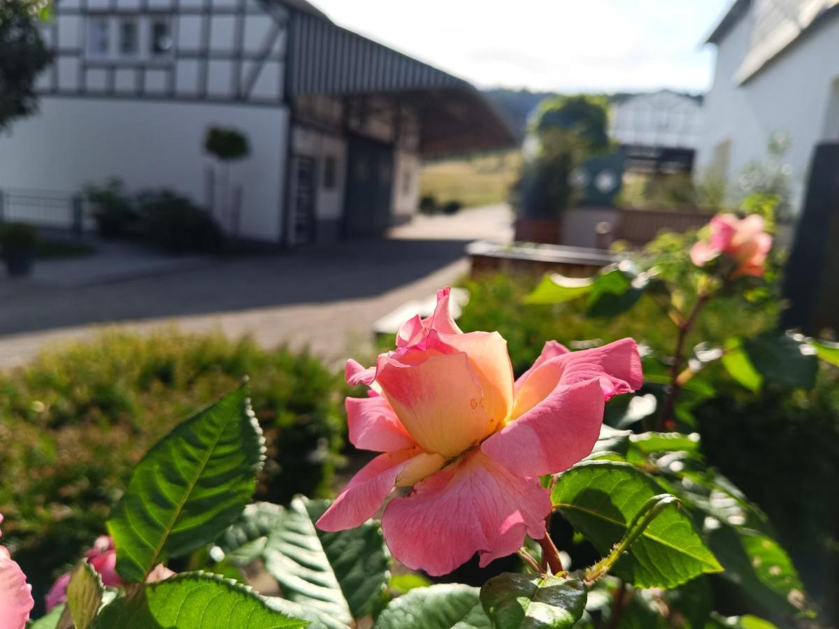 Kleine Auszeit Lejlighed Eslohe Eksteriør billede